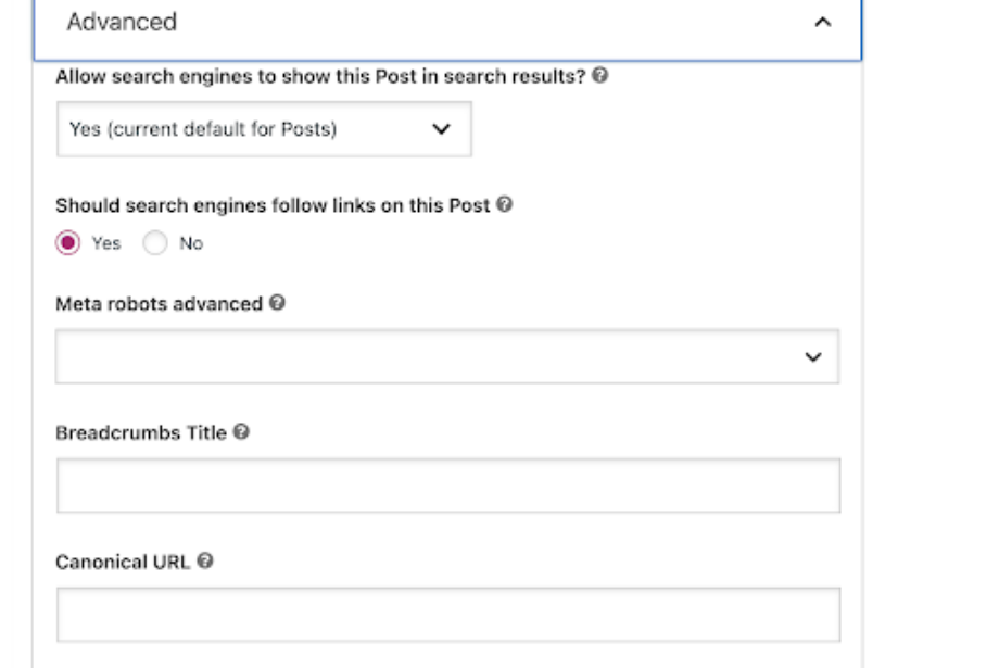 WordPress Canonical Tag Setting process