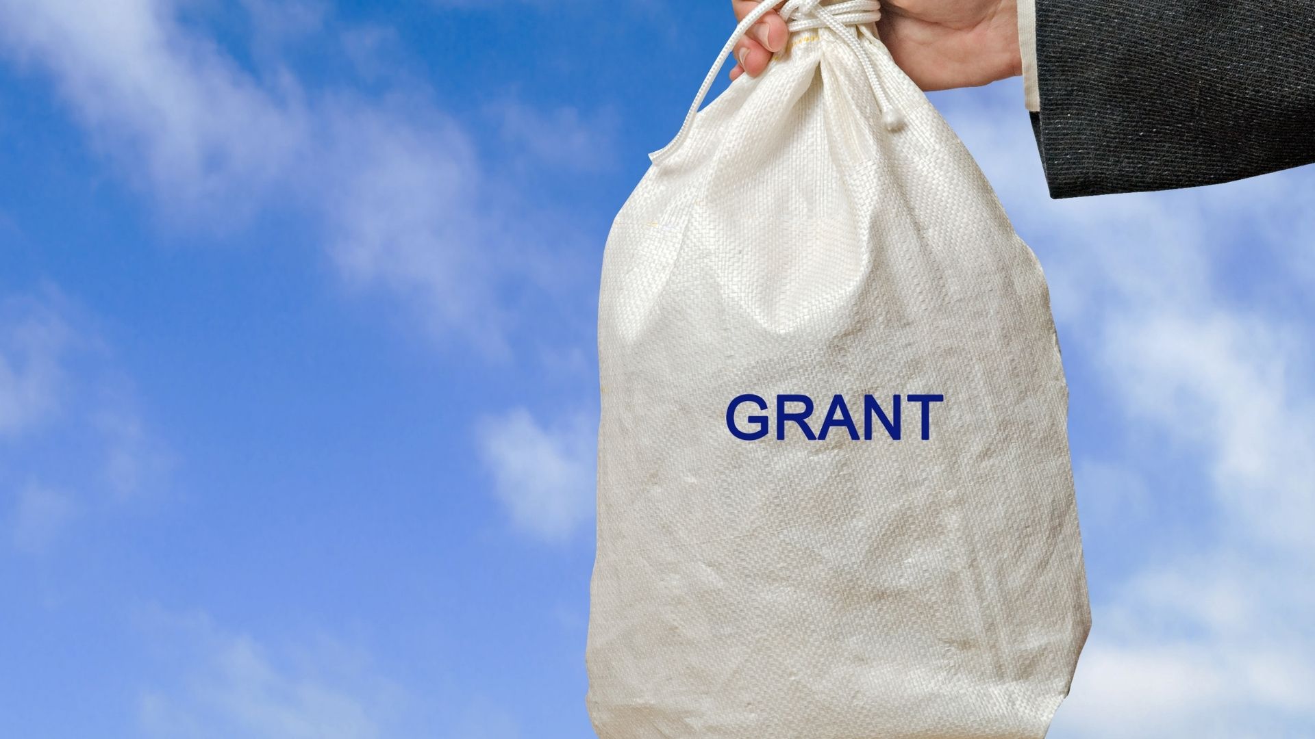 Government Grants