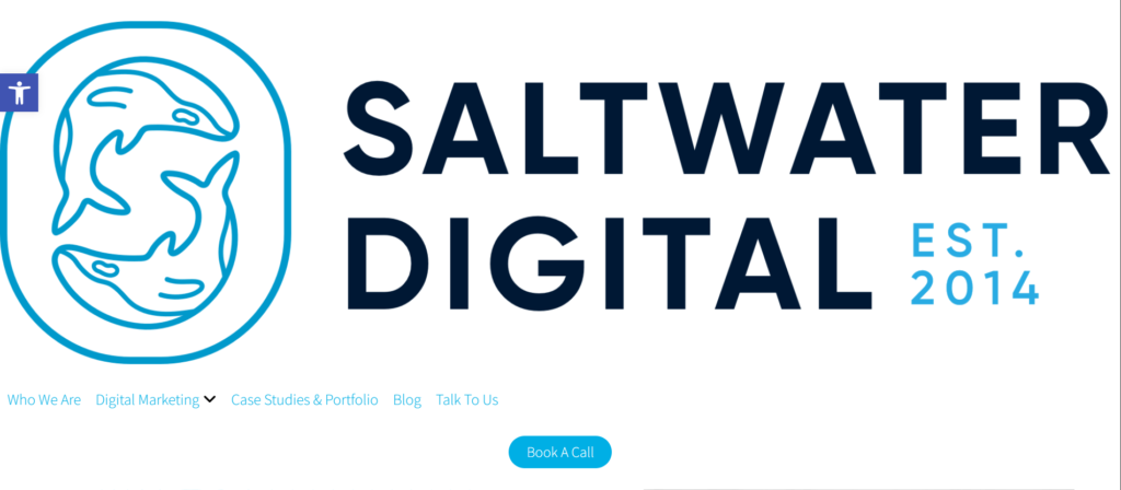 Saltwater Digital Website Homepage